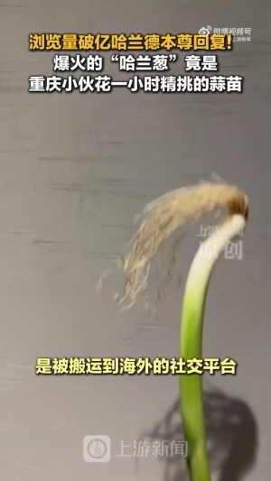 英格兰vs阿根廷直播_世界杯英格兰vs阿根廷在线观看无插件_英格兰vs阿根廷比赛回放